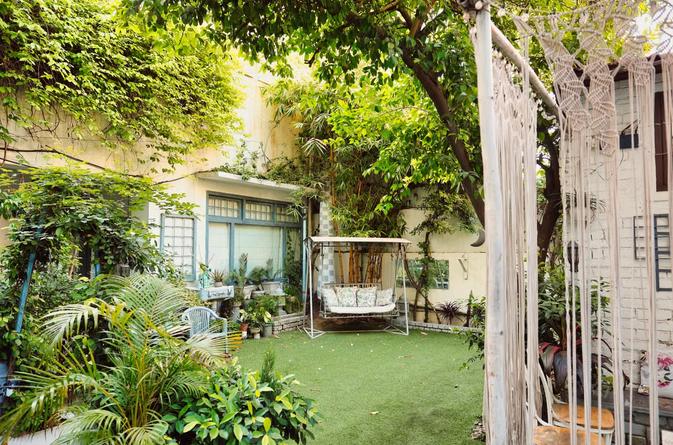 green backyard space